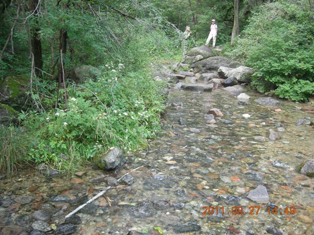 DSCN0037.JPG