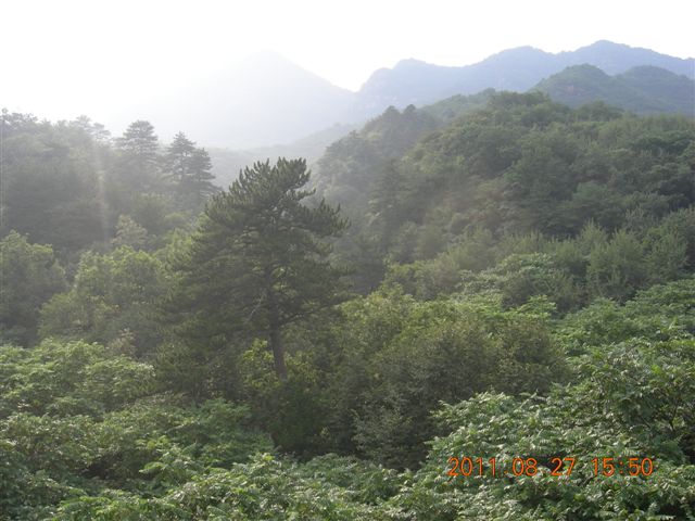 DSCN0055.JPG