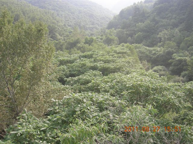 DSCN0059.JPG