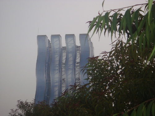 DSC05373 (500x375).jpg