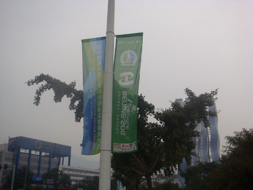 DSC05375 (500x375).jpg