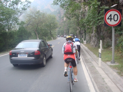 DSC05380 (500x375).jpg