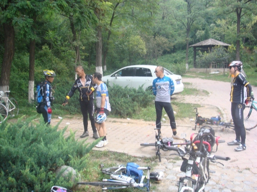 DSC05382 (500x375).jpg