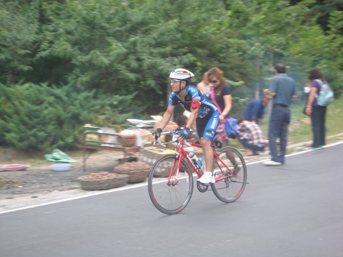 DSC05385 (500x375).jpg