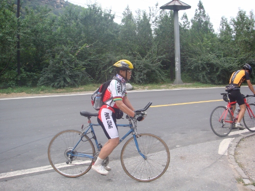 DSC05389 (500x375).jpg