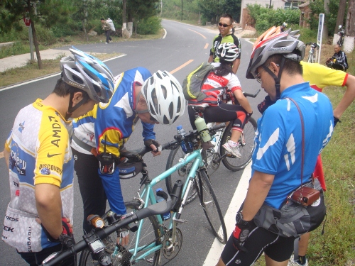 DSC05411 (500x375).jpg