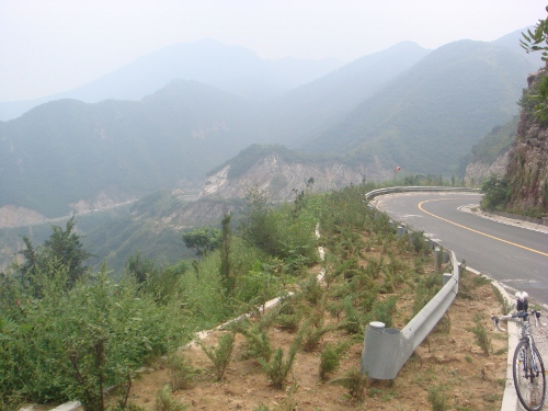 DSC05439 (500x375).jpg