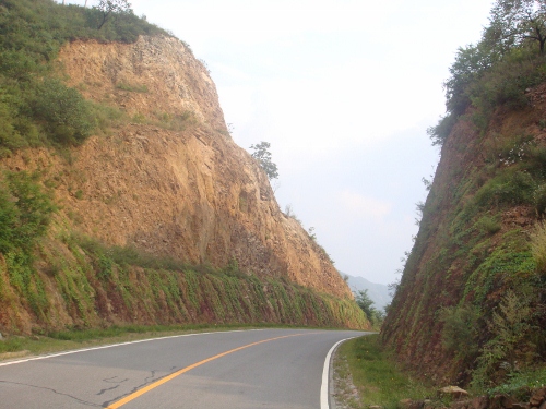 DSC05469 (500x375).jpg