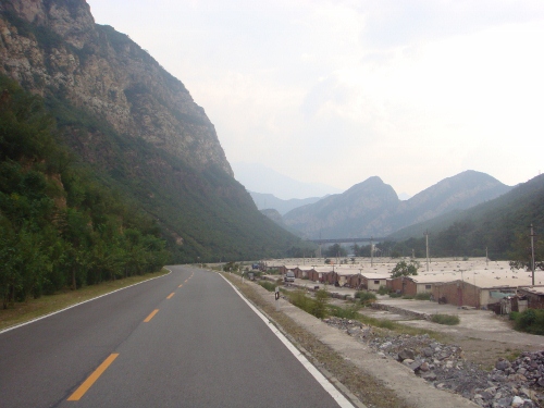 DSC05470 (500x375).jpg