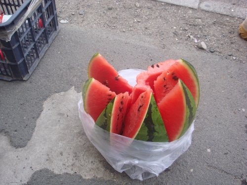 DSC05480 (500x375).jpg