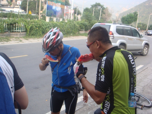 DSC05483 (500x375).jpg