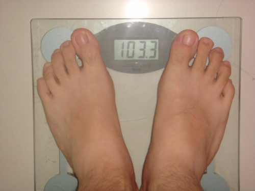 DSC05372 (500x375).jpg