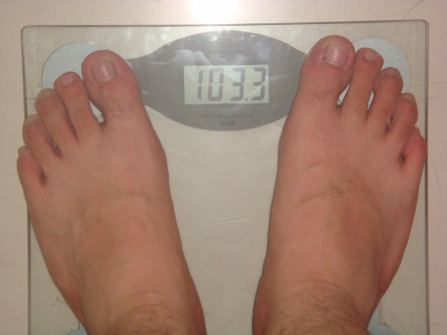 DSC05504 (500x375).jpg