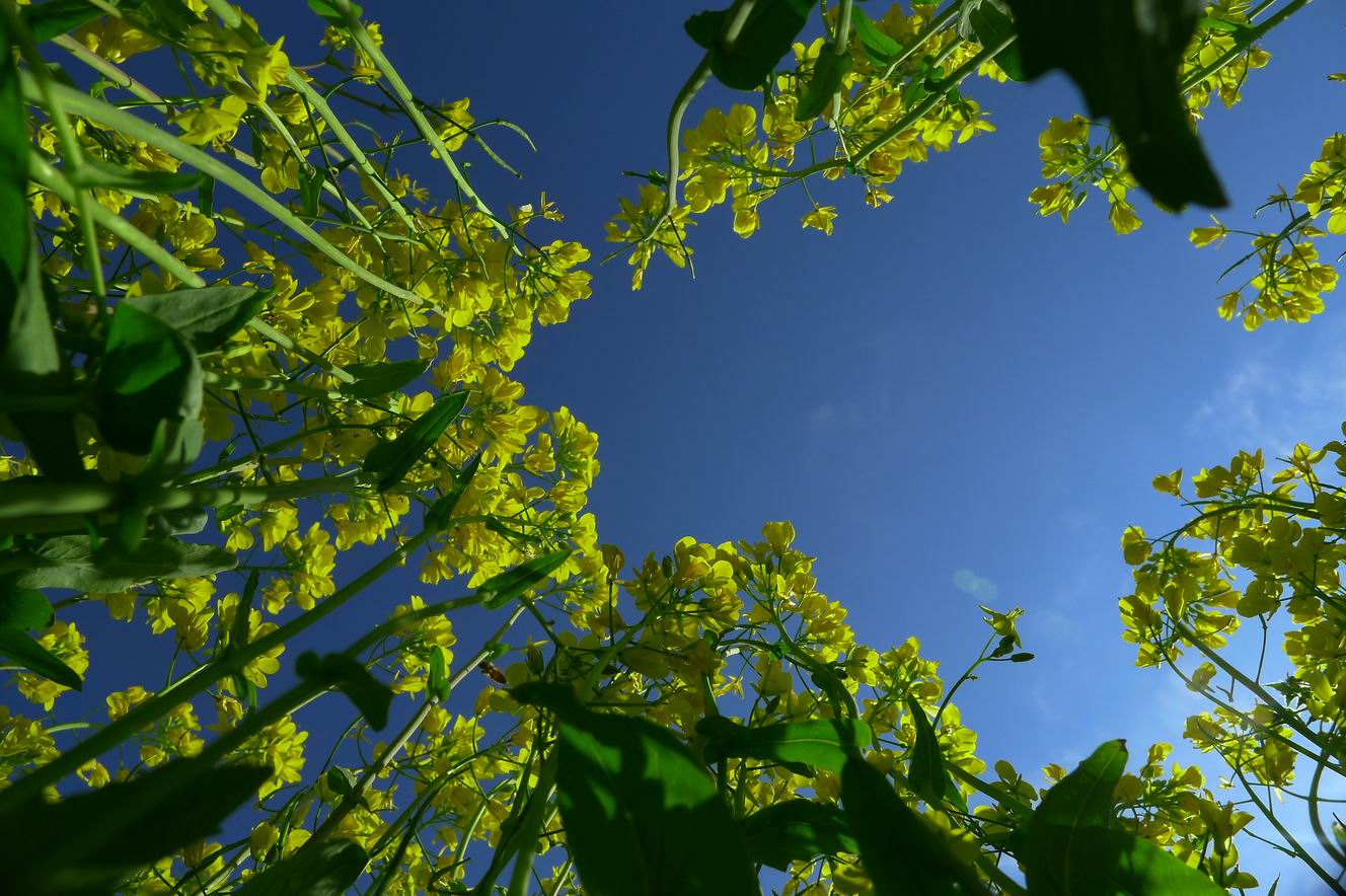 调整大小 P1020061.JPG