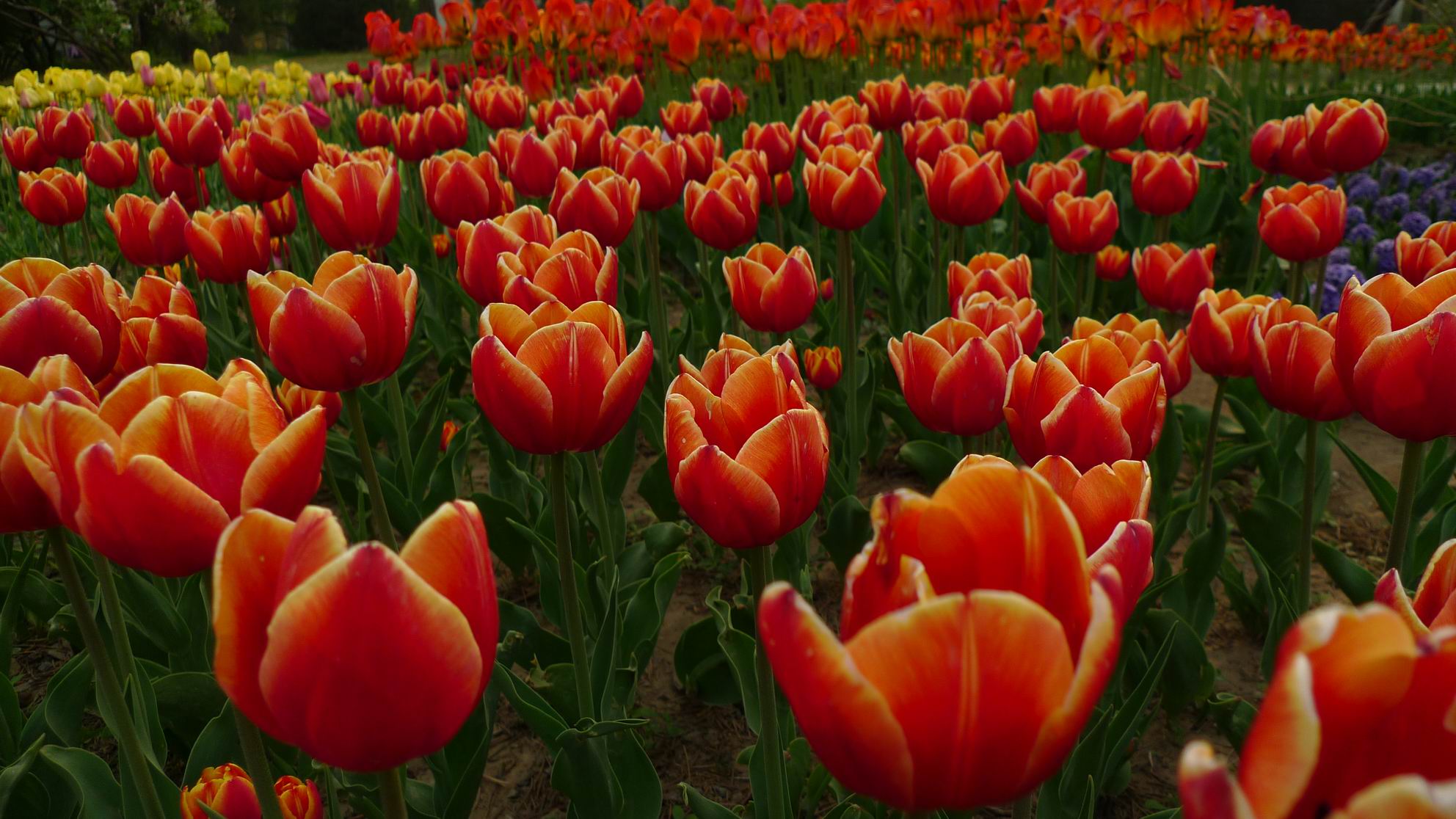 调整大小 P1050721.JPG