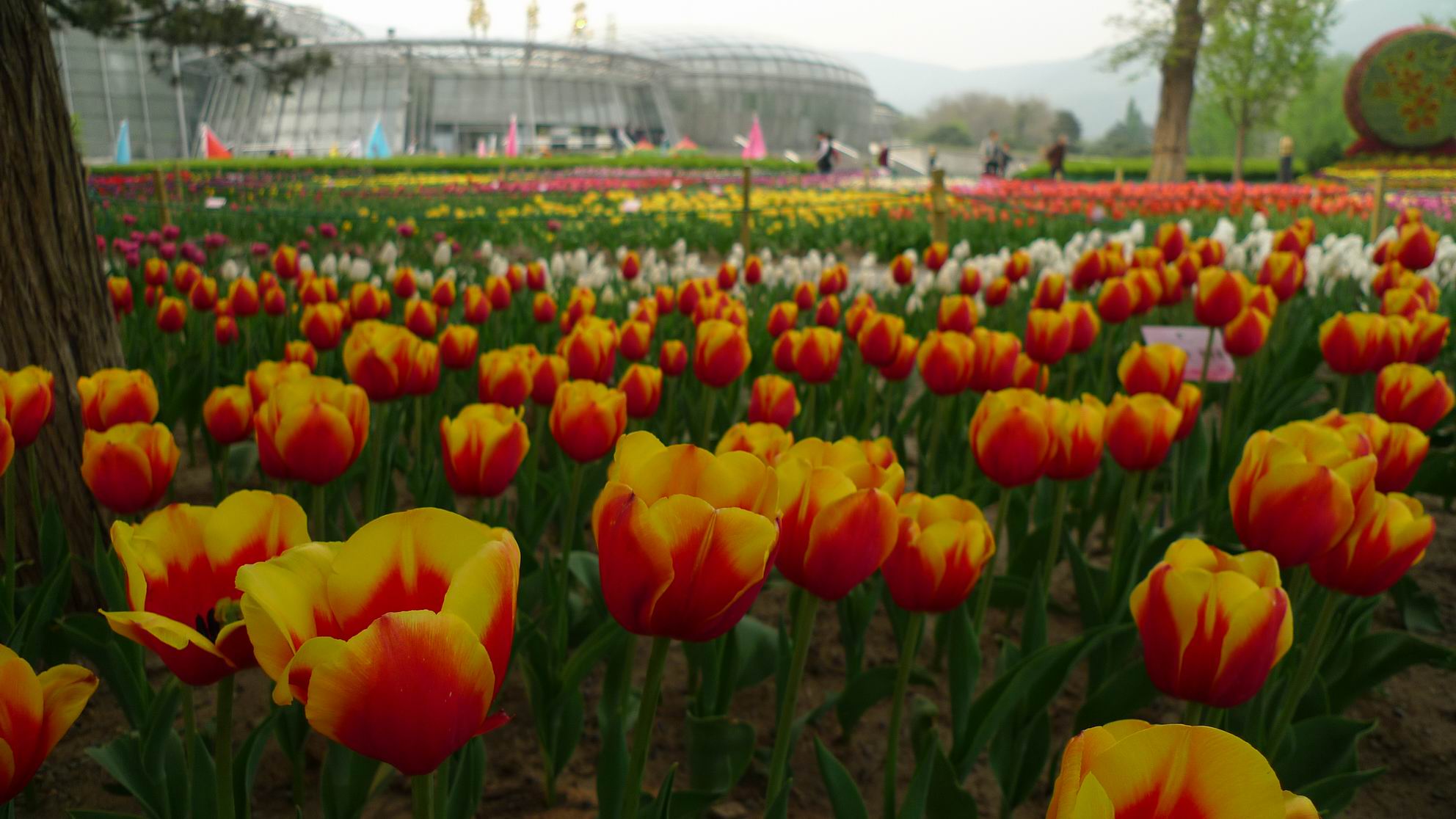 调整大小 P1050723.JPG