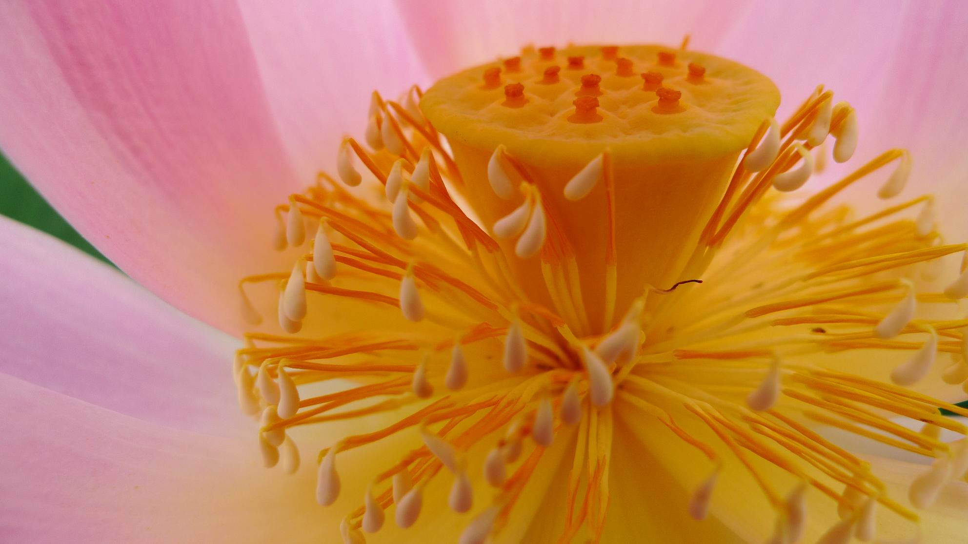 调整大小 P1070113.JPG