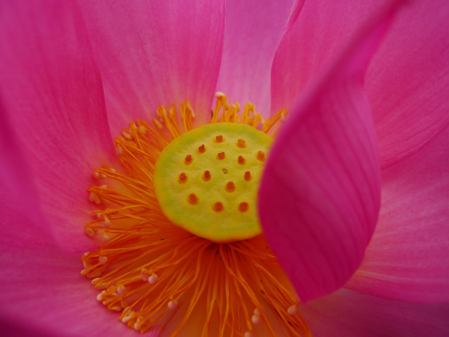 调整大小 P1070116.JPG