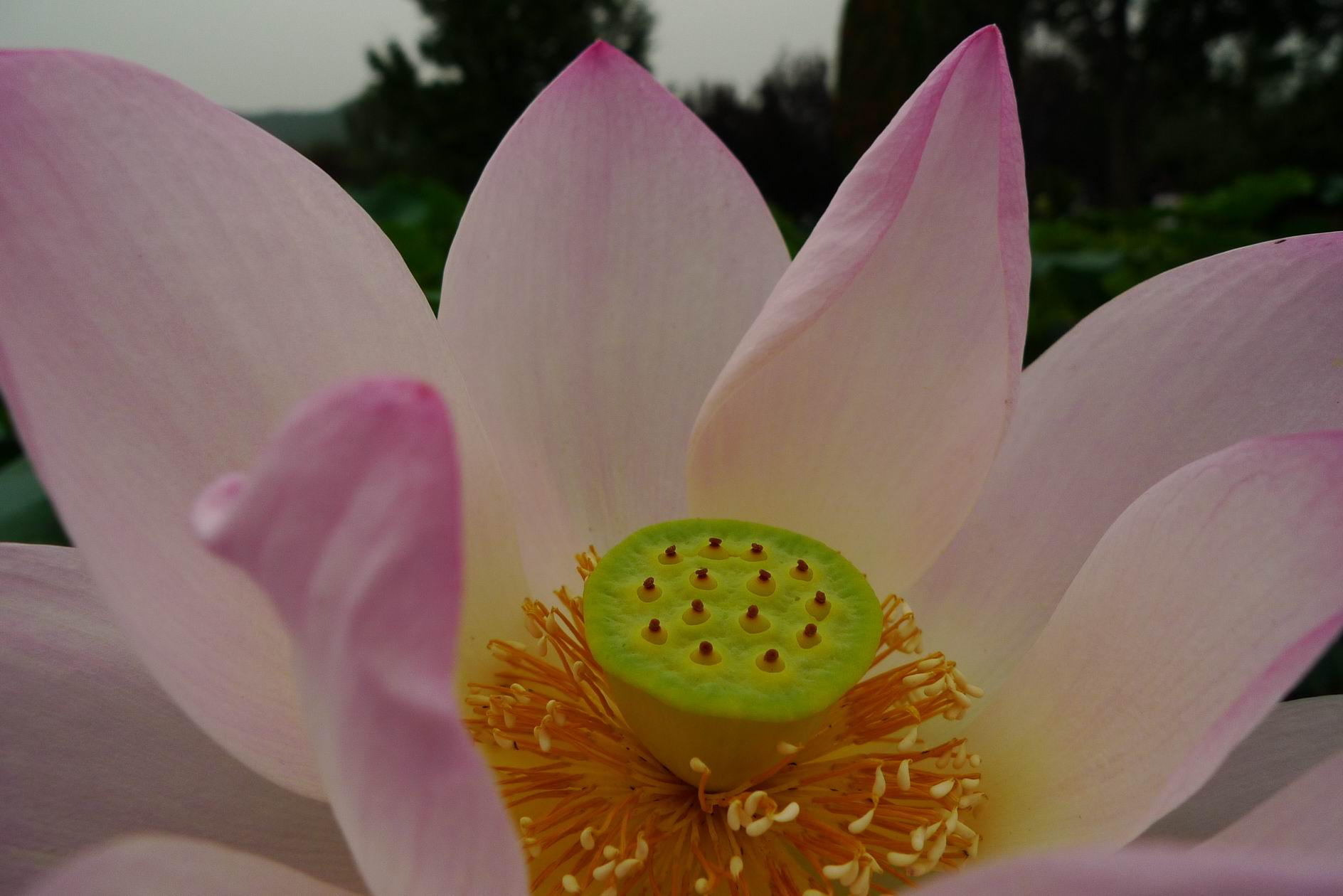 调整大小 P1070118.JPG