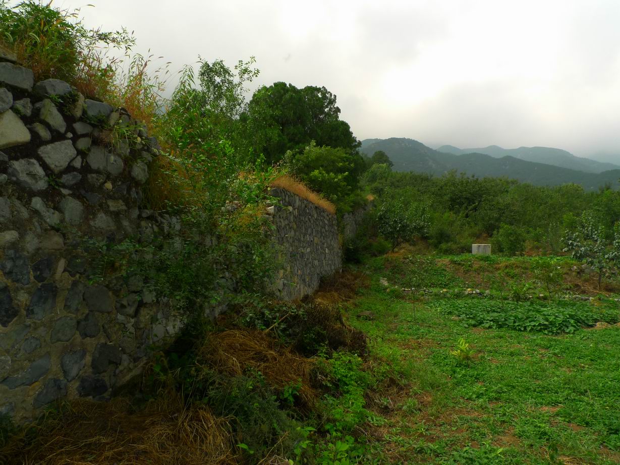 调整大小 P1070417.JPG