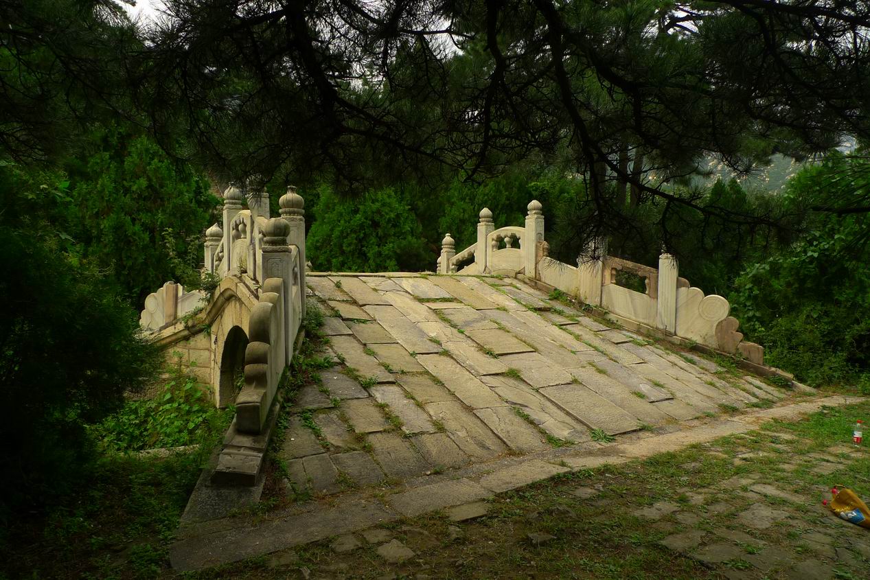 调整大小 P1070434.JPG