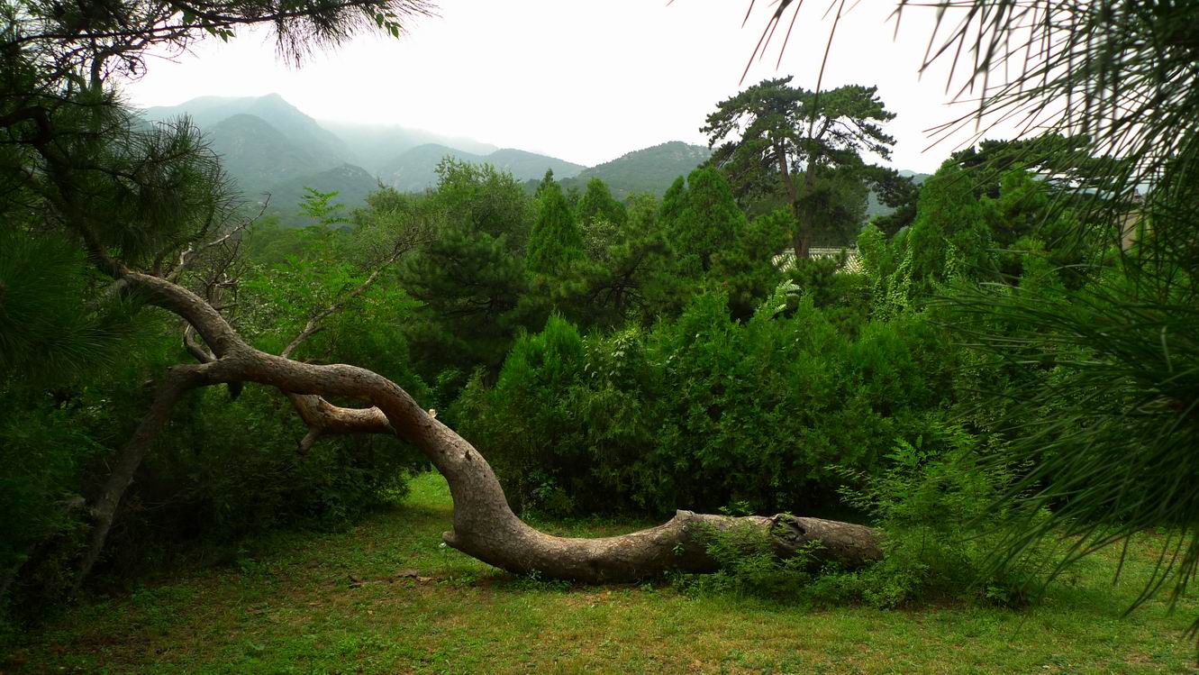 调整大小 P1070435.JPG