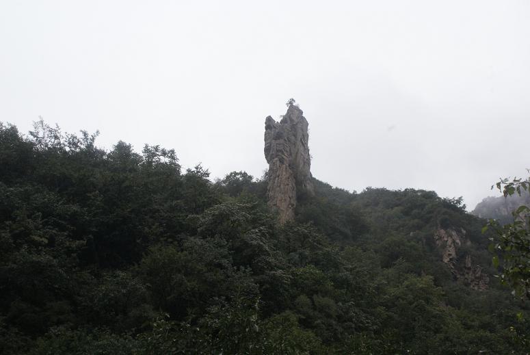 老子在持卷诵读