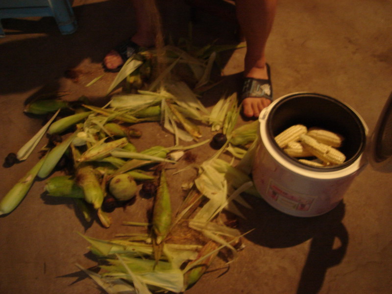 果园种的棒子，给笑侠煮一锅。