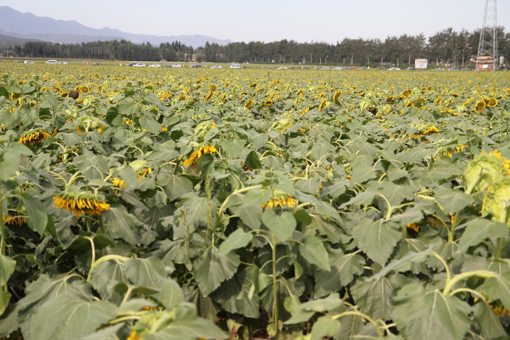 照片 011_调整大小.jpg