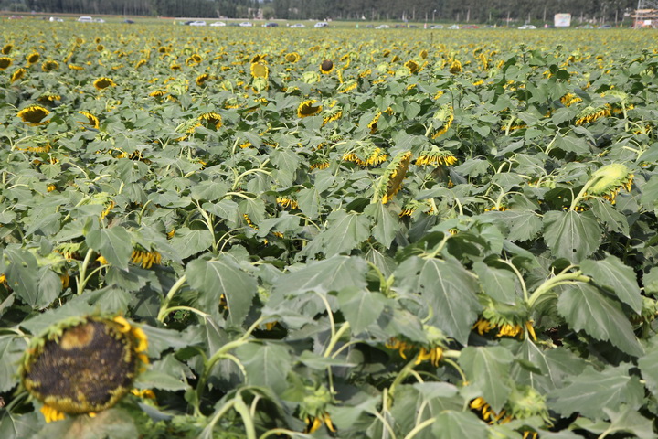 照片 012_调整大小.jpg