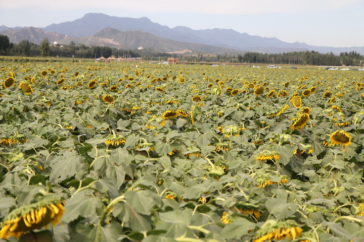 照片 013_调整大小.jpg