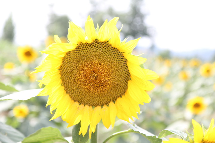 照片 014_调整大小.jpg