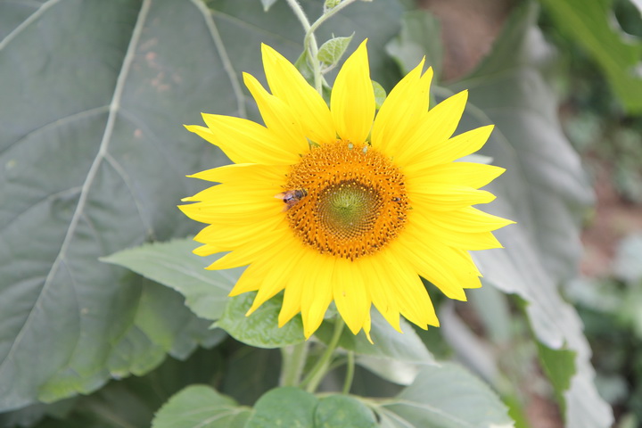 照片 015_调整大小.jpg