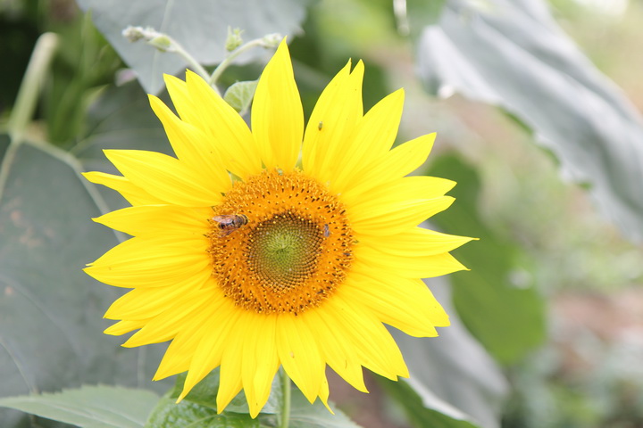 照片 016_调整大小.jpg