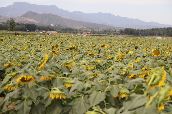 照片 018_调整大小.jpg