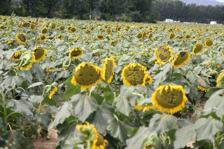 照片 020_调整大小.jpg