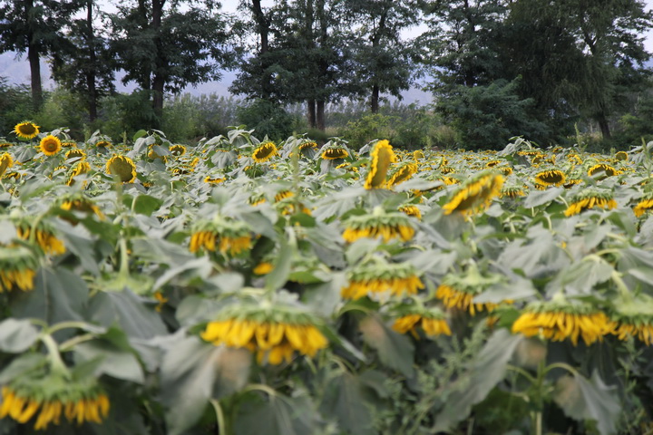 照片 022_调整大小.jpg