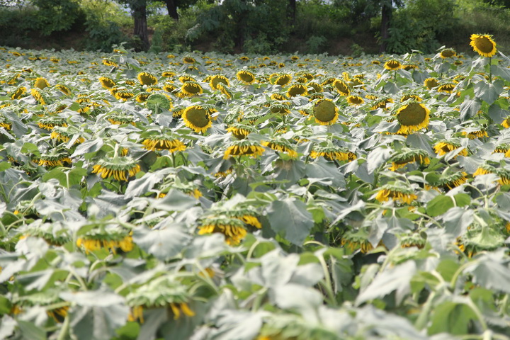 照片 024_调整大小.jpg