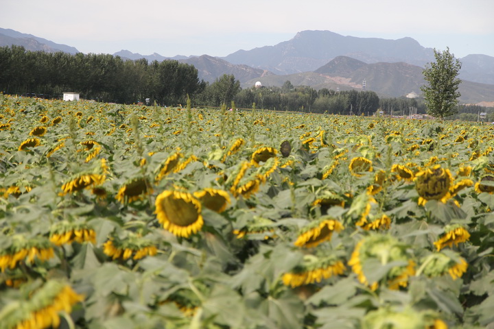 照片 025_调整大小.jpg