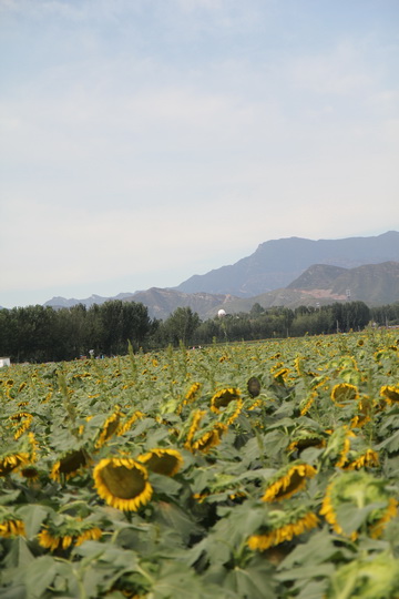 照片 026_调整大小.jpg