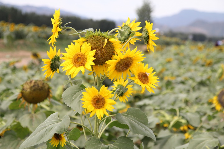 照片 028_调整大小.jpg