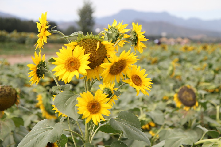 照片 029_调整大小.jpg