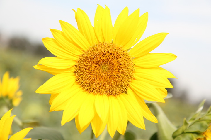 照片 030_调整大小.jpg