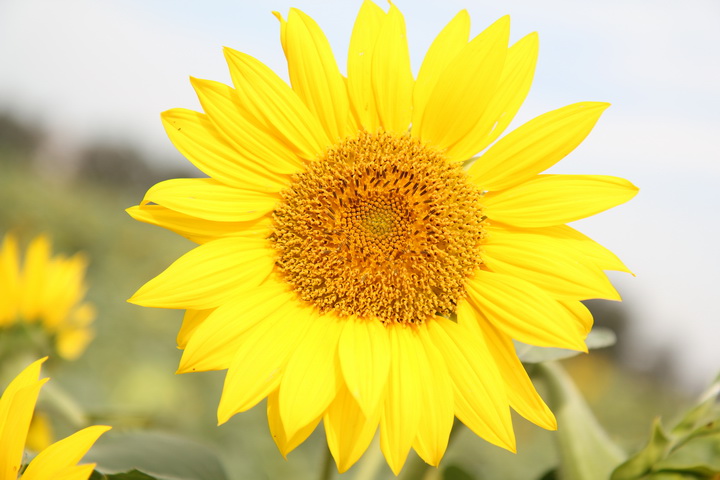 照片 031_调整大小.jpg