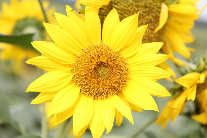 照片 032_调整大小.jpg