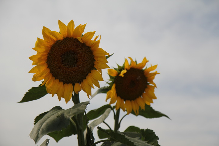 照片 034_调整大小.jpg