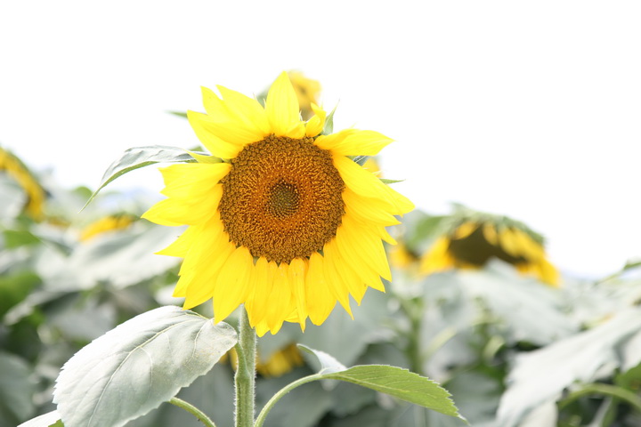 照片 035_调整大小.jpg