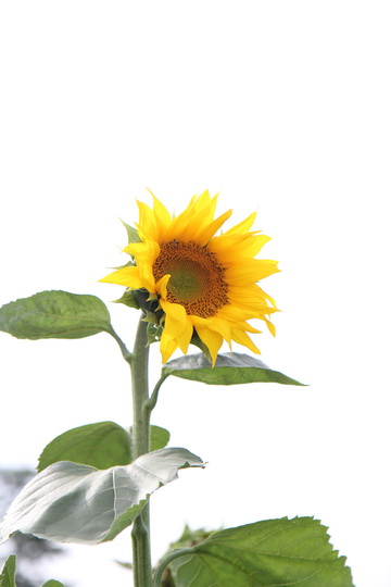 照片 036_调整大小.jpg