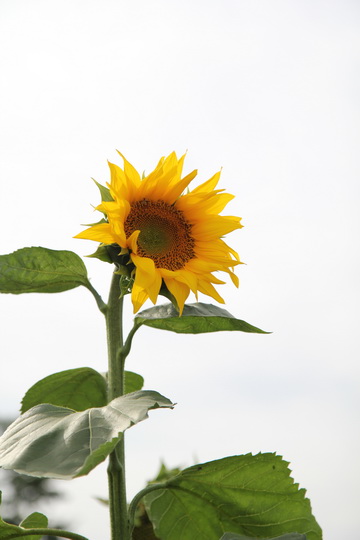 照片 037_调整大小.jpg