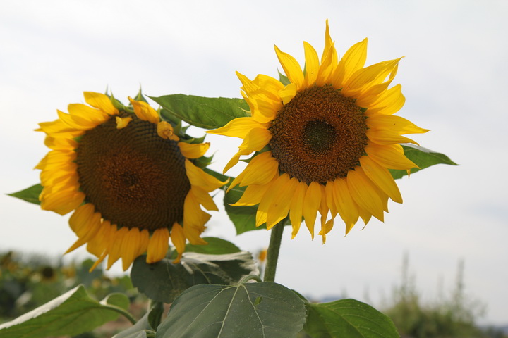 照片 038_调整大小.jpg